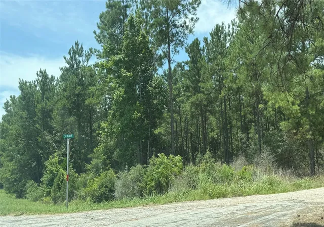 25th image of 422 County Road 4088, Bon Wier, TX 75928 | MLS# 38811642