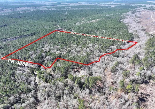 Homes for sale in Bon Wier, TX | 422 County Road 4088, Bon Wier, TX 75928 | MLS# 38811642