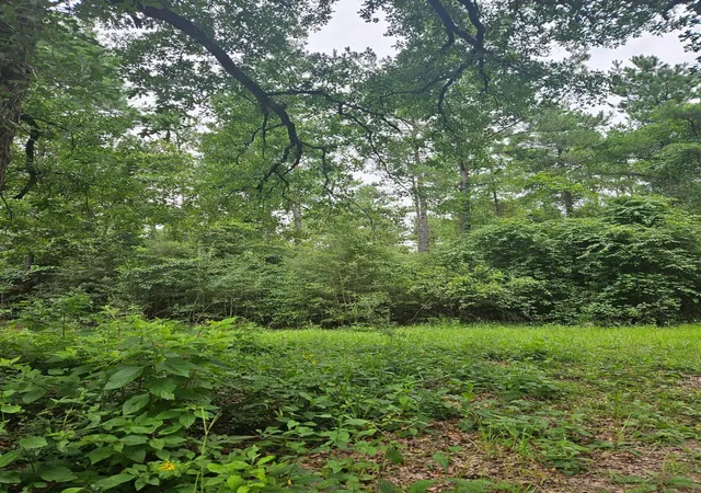 Photo 3 of Land for sale at 422 County Rd 4088, Bon Wier, TX 75928 | MLS# 38811642 | Listing updated on 2026-08-04