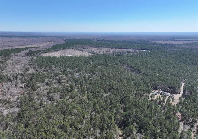 Photo 3 of Land for sale at 422 County Rd 4088, Bon Wier, TX 75928 | MLS# 38811642 | Listing updated on 2026-08-04