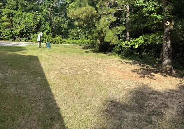 45th image of 291 Leaning Oak Dr, Point Blank, TX 77364 | MLS# 25599707