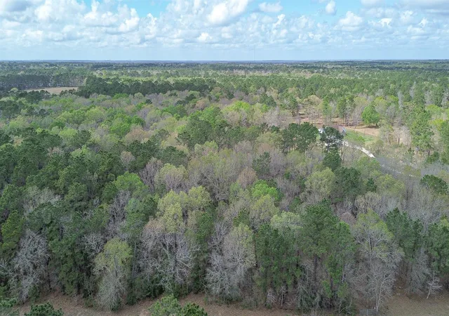 1st image of Tbd Dream Catcher Dr, Wallisville, TX 77597 | MLS# 37277099