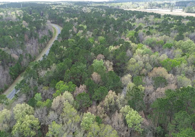 5th image of Tbd Dream Catcher Dr, Wallisville, TX 77597 | MLS# 37277099
