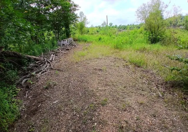 Photo 3 of Land for sale at 2018 County Road 4009, New Boston, TX 75570 | MLS# 60533004 | Listing updated on 2026-06-06