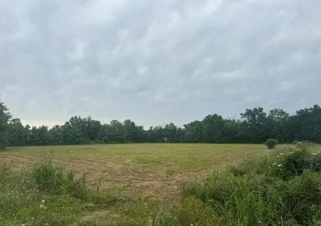 2nd image of 000 Old Hwy 62, Orange, TX 77632 | MLS# 74700027
