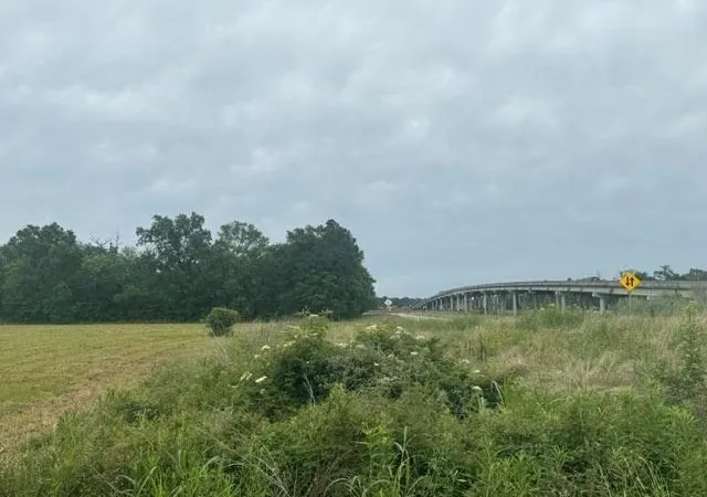 3rd image of 000 Old Hwy 62, Orange, TX 77632 | MLS# 74700027