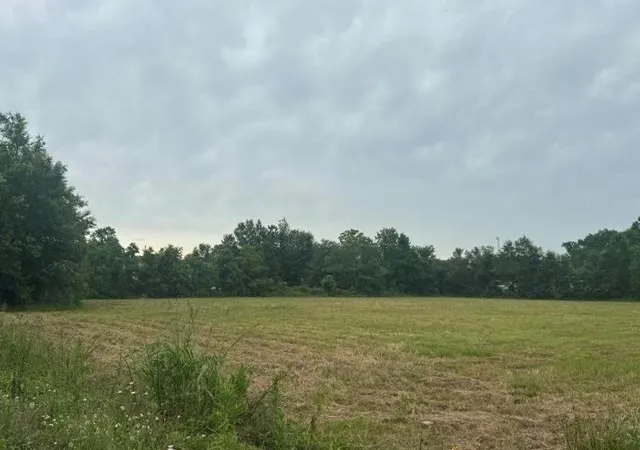 5th image of 000 Old Hwy 62, Orange, TX 77632 | MLS# 74700027