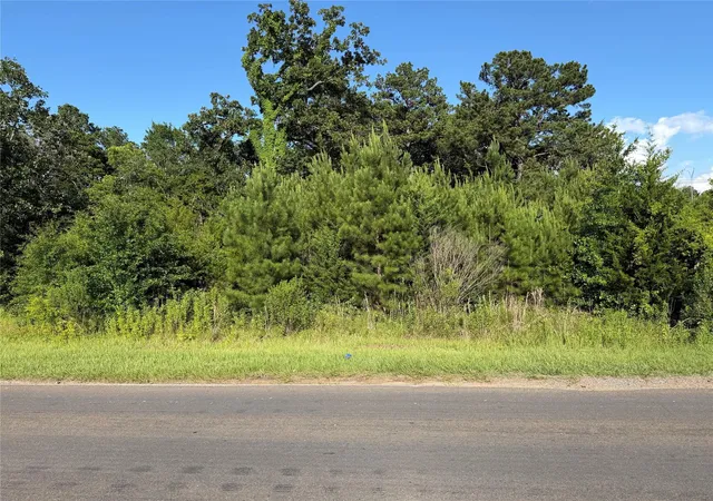 1st image of 0 N Hendrix Ave, Diboll, TX 75941 | MLS# 43440741