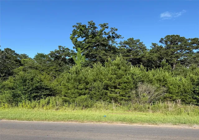 2nd image of 0 N Hendrix Ave, Diboll, TX 75941 | MLS# 43440741