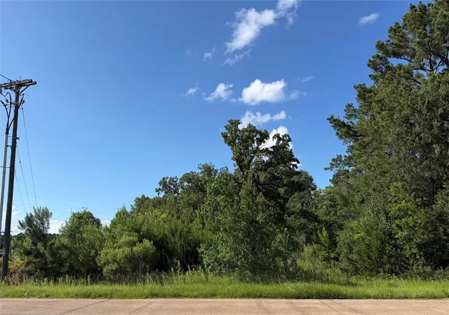 3rd image of 0 N Hendrix Ave, Diboll, TX 75941 | MLS# 43440741