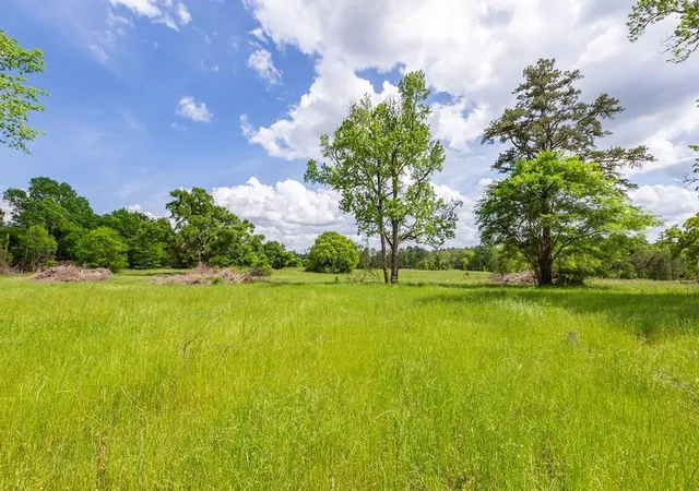Photo 3 of Land for sale at 247 Mccarty Rd, Lufkin, TX 75904 | MLS# 74464105 | Listing updated on 2026-05-18