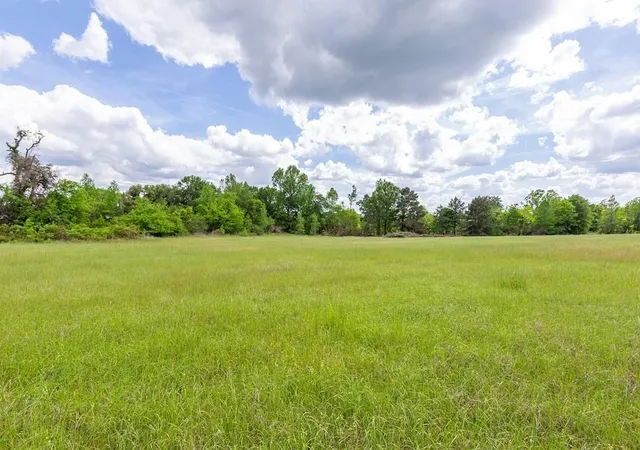 Photo 4 of Land for sale at 247 Mccarty Rd, Lufkin, TX 75904 | MLS# 74464105 | Listing updated on 2026-05-18