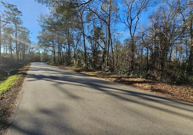 1st image of Lot 1 Sherwood Dr, Shepherd, TX 77371 | MLS# 6842235