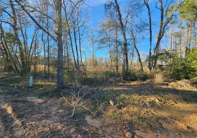22nd image of Lot 1 Sherwood Dr, Shepherd, TX 77371 | MLS# 6842235