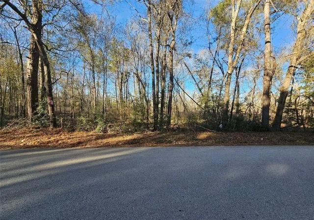 5th image of Lot 1 Sherwood Dr, Shepherd, TX 77371 | MLS# 6842235