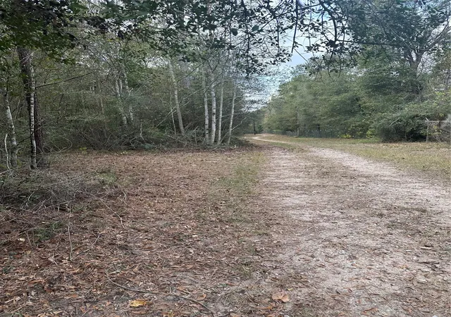 11th image of Tbd Firetower, Pinehurst, TX 77362 | MLS# 41540675