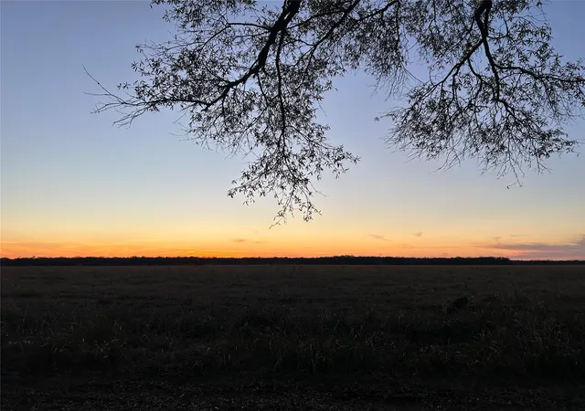 Photo 3 of Land for sale at Lot 1 Minnie W Rd, Hull, TX 77564 | MLS# 72381170 | Listing updated on 2026-08-22