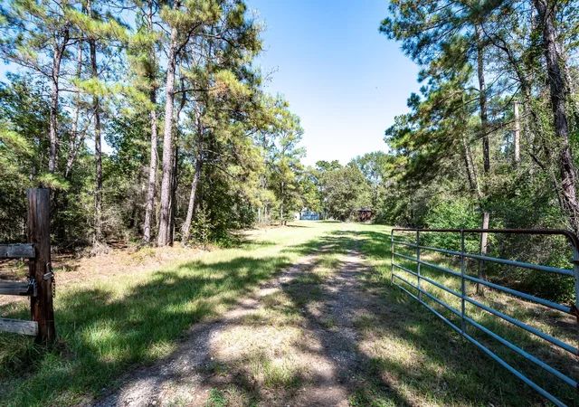 Photo 4 of Land for sale at 11029 Crockett Martin Rd, Conroe, TX 77306 | MLS# 42291533 | Listing updated on 2026-08-07