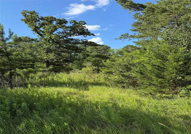 Photo 3 of Land for sale at 908 N Hendrix Ave, Diboll, TX 75941 | MLS# 36952430 | Listing updated on 2026-08-21