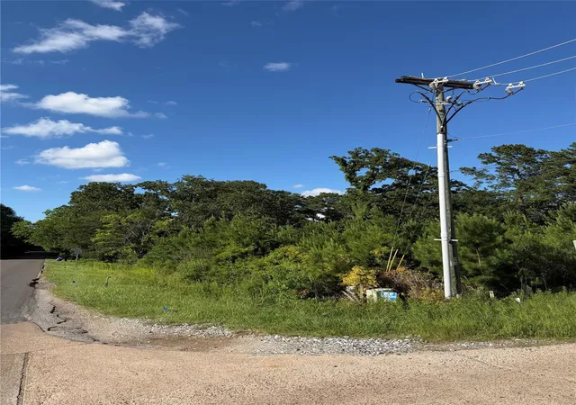 Photo 4 of Land for sale at 908 N Hendrix Ave, Diboll, TX 75941 | MLS# 36952430 | Listing updated on 2026-08-21