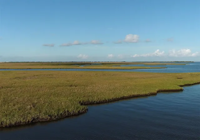Photo 2 of Land for sale at 1228 N Redfish St, Port Bolivar, TX 77650 | MLS# 46473156 | Listing updated on 2026-07-25
