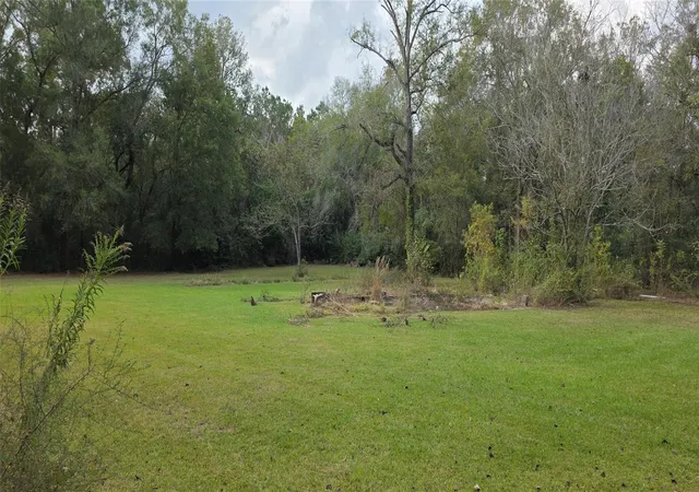Homes for sale in New Caney, TX | 149 Green St, New Caney, TX 77357 | MLS# 87378209