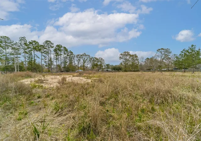 Photo 1 of Sale Pending at 0 Emerald Forest Dr, New Caney, TX 77357 | MLS# 80069515 | Listing updated on 2026-09-20