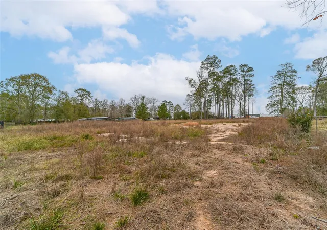 Photo 4 of Sale Pending at 0 Emerald Forest Dr, New Caney, TX 77357 | MLS# 80069515 | Listing updated on 2026-09-20