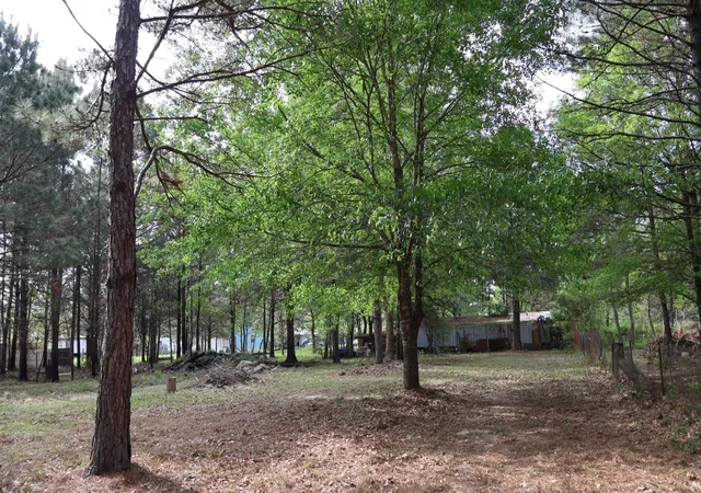 Photo 7 of Land for sale at 198 County Rd 3406, Cleveland, TX 77327 | MLS# 1018313 | Listing updated on 2026-07-31
