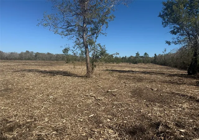 12th image of 1914 1st St, Liverpool, TX 77577 | MLS# 85812072