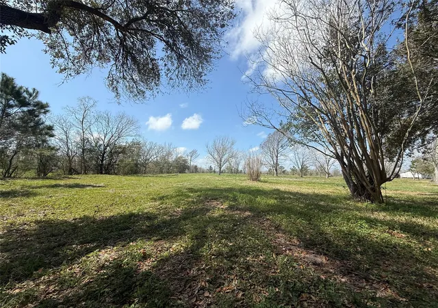 4th image of 1914 1St St, Liverpool, TX 77577 | MLS# 85812072