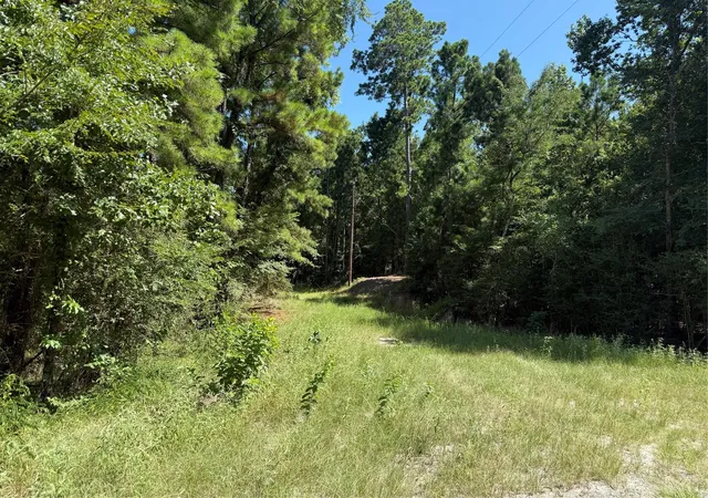Photo 1 of Land for sale at Tbd Creeklake Dr, Onalaska, TX 77360 | MLS# 6910053 | Listing updated on 2026-09-18