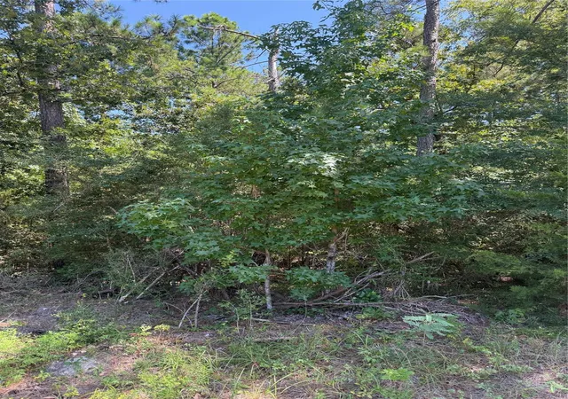 Photo 3 of Land for sale at Tbd Creeklake Dr, Onalaska, TX 77360 | MLS# 6910053 | Listing updated on 2026-09-18