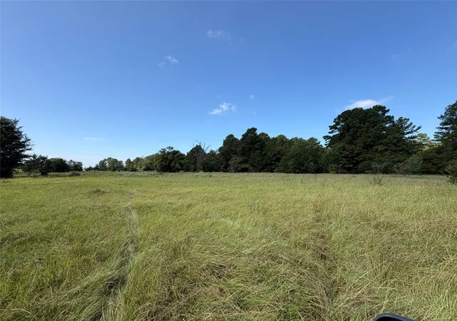 Photo 2 of Sale Pending at Tbd Fm 247, Midway, TX 75852 | MLS# 57982961 | Listing updated on 2026-09-03