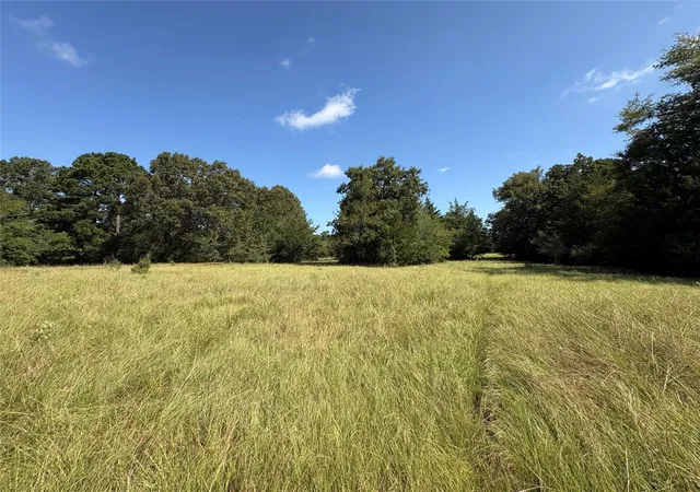 Photo 2 of Sale Pending at Tbd Fm 247, Midway, TX 75852 | MLS# 57982961 | Listing updated on 2026-09-03