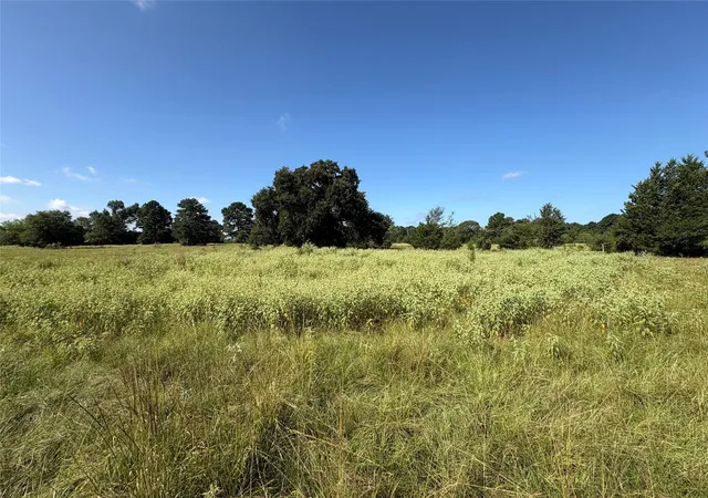 Photo 3 of Sale Pending at Tbd Fm 247, Midway, TX 75852 | MLS# 57982961 | Listing updated on 2026-09-03