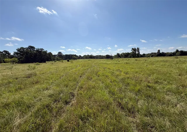 Photo 4 of Sale Pending at Tbd Fm 247, Midway, TX 75852 | MLS# 57982961 | Listing updated on 2026-09-03