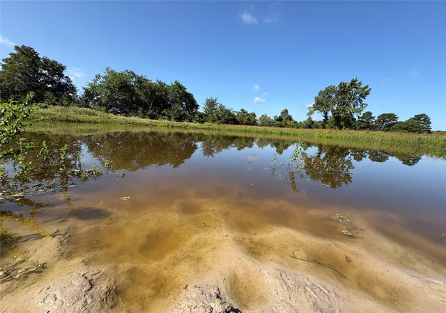 Photo 8 of Sale Pending at Tbd Fm 247, Midway, TX 75852 | MLS# 57982961 | Listing updated on 2026-09-03