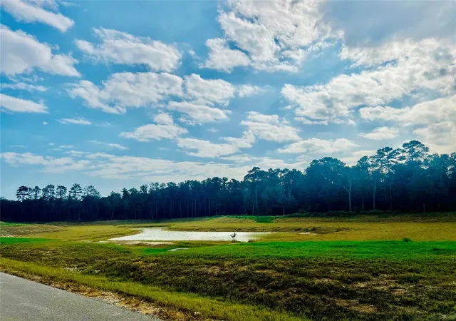 Photo 3 of Land for sale at 1560 County Road 632, Dayton, TX 77535 | MLS# 35279651 | Listing updated on 2026-08-17