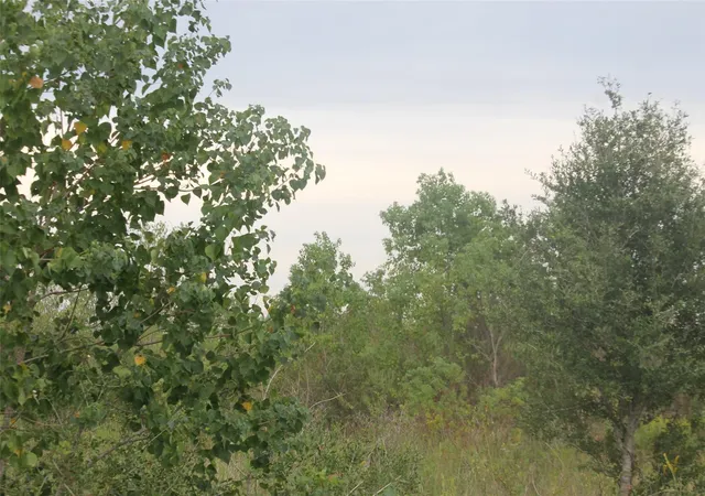 2nd image of 0 Grand Parkway, Baytown, TX 77523 | MLS# 65646938