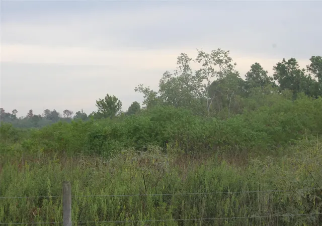 3rd image of 0 Grand Parkway, Baytown, TX 77523 | MLS# 65646938