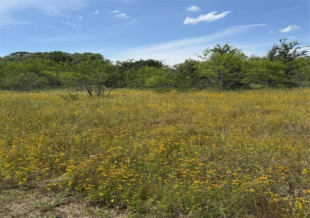 Homes for sale in Snook, TX | 0 County Road 438, Snook, TX 77878 | MLS# 62334326