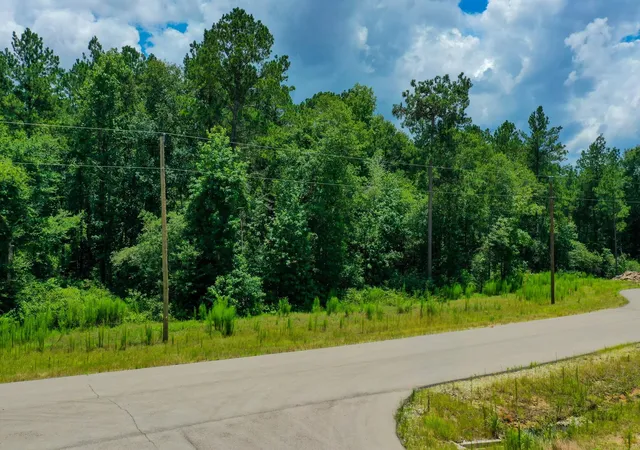 3rd image of 34-15 Sandstone Ln, Huntsville, TX 77340 | MLS# 41119035