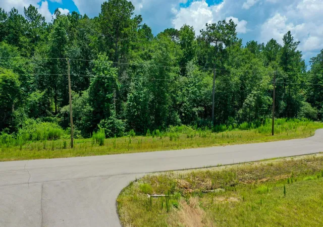 5th image of 34-15 Sandstone Ln, Huntsville, TX 77340 | MLS# 41119035
