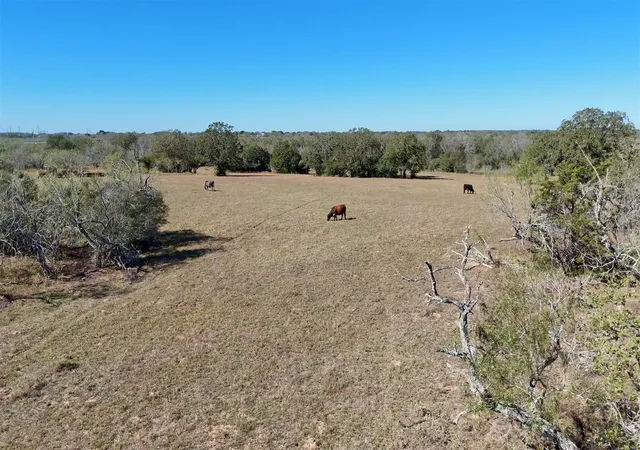 Photo 4 of Land for sale at Tract 2 County Rd 283, Harwood, TX 78632 | MLS# 86251766 | Listing updated on 2026-07-02