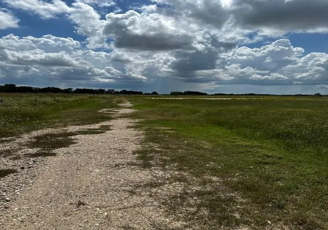 4th image of Tbd Fm 1994 Rd, Guy, TX 77444 | MLS# 13031888