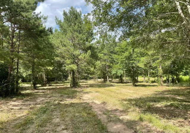 1st image of 502 County Road 3408, Cleveland, TX 77327 | MLS# 88991216