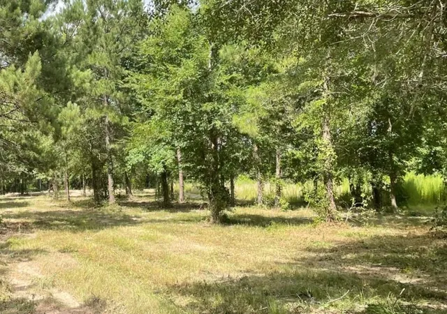 3rd image of 502 County Road 3408, Cleveland, TX 77327 | MLS# 88991216