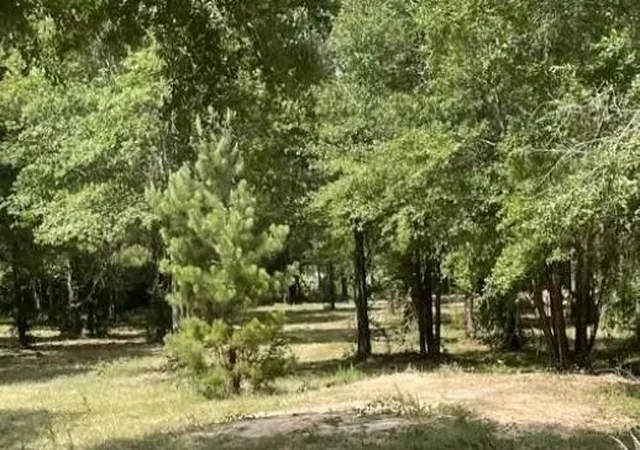 5th image of 502 County Road 3408, Cleveland, TX 77327 | MLS# 88991216