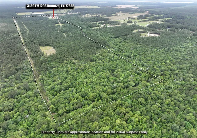 Homes for sale in Kountze, TX | 3139 Fm 1293 Rd, Kountze, TX 77625 | MLS# 87361834